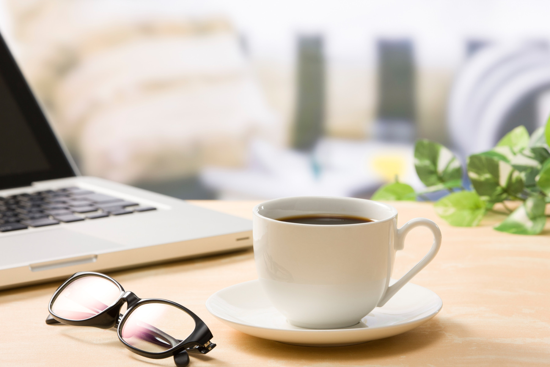 画像：サンプル